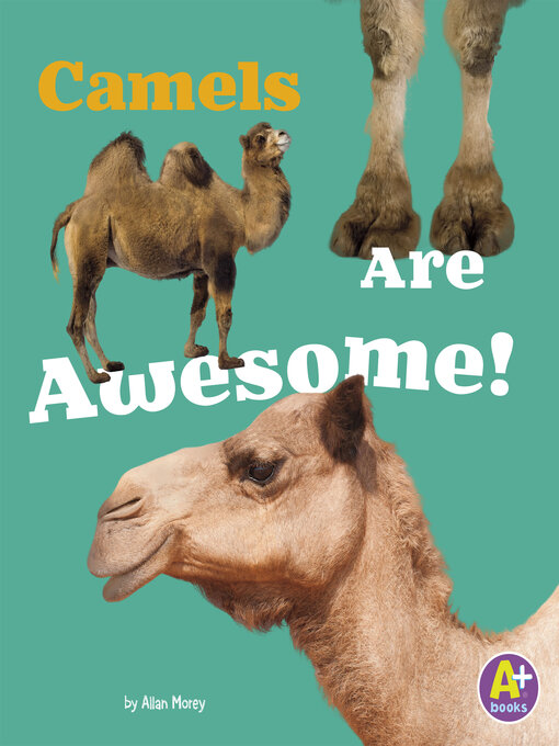 Title details for Camels Are Awesome! by Allan Morey - Available
